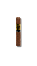 ACID - Atom Maduro (24)