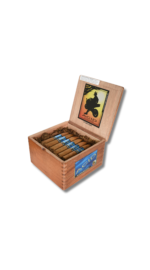 ACID - Blondie Belicoso (24) - Image 2