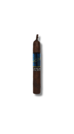 ACID - Blondie Maduro (40)