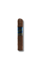ACID - Kuba Kuba Maduro (24)