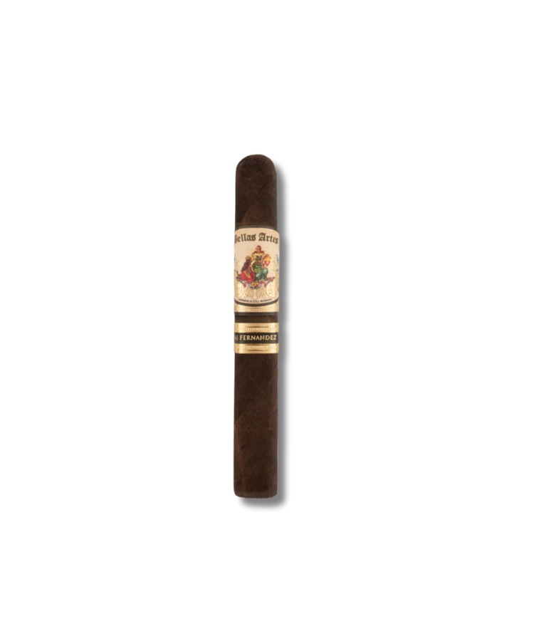 AJ-Fernandez-Bellas-Artes-Maduro-Robusto-20-.png AJ Fernandez Bellas Artes Maduro - Robusto (20) - Image 1