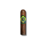 CAO Brazilia - Corcovado (20)