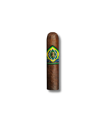 CAO Brazilia - Corcovado (20)