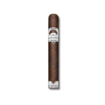 CAO Fasa Noche - Toro (24)
