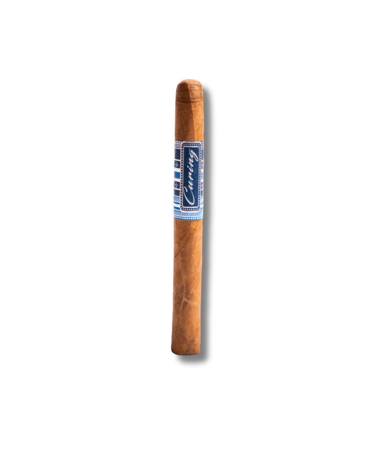 Linga-Curing-Corona-20.png Linga Curing - Corona (20) - Image 1