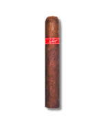 Tatuaje Havana VI - Gordito (24)