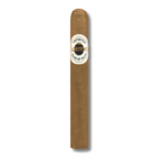 Ashton Classic - Corona (25)