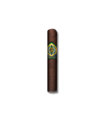 CAO Brazilia - Gol! (20)