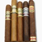 Casa Magna Sampler Humi Pack 5 (5)
