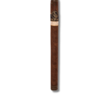 Jake Wyatt Fourth Dimension - Lancero (22)