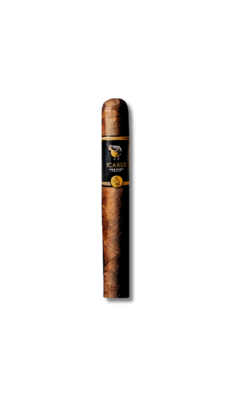 Jake Wyatt Icarus - Corona Gorda (22) Jake Wyatt Icarus - Corona Gorda (22) - Image 1