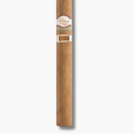 Padron Damaso - No. 17 (20)
