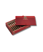 AVO Expresivo - Robusto (20) - Image 2