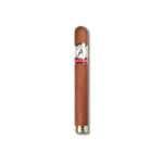 Aladino Cameroon LE 2024 - Toro (20)