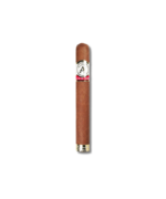 Aladino Cameroon LE 2024 - Toro (20)