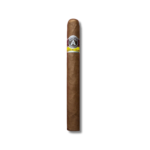 Aladino Corojo - Cazador (20)