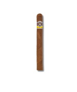 Aladino Corojo - Churchill (20)