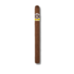 Aladino Corojo - Elegante (20)