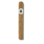 Ashton Esquire - Natural Cigarillo (Tin of 10)