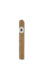 Ashton Esquire - Natural Cigarillo (Tin of 10)