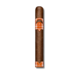 CAO Fasa Sol - Toro (24)