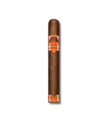 CAO Fasa Sol - Toro (24)