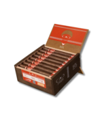 CAO Fasa Sol - Toro (24) - Image 2
