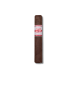 CAO Flathead Speed Shop - V660 Carb (24)