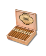 Casa Magna Connecticut - Robusto (20) - Image 2