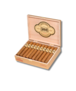 Casa Magna Connecticut - Toro (20) - Image 2