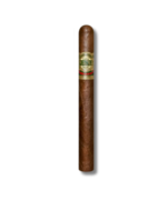Casa Magna Liga F - Churchill (10)
