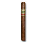 Casa Magna Liga F - Toro (10)