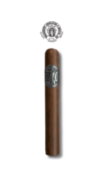 Crowned Heads The Lost Angel TAA 2022 (20)
