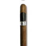 Crowned Heads The Lost Angel TAA 2023 (20)