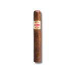 Curivari Achilles - Gloriosos (10)