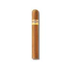 Curivari BV Favoritos Connecticut - 54 (20)