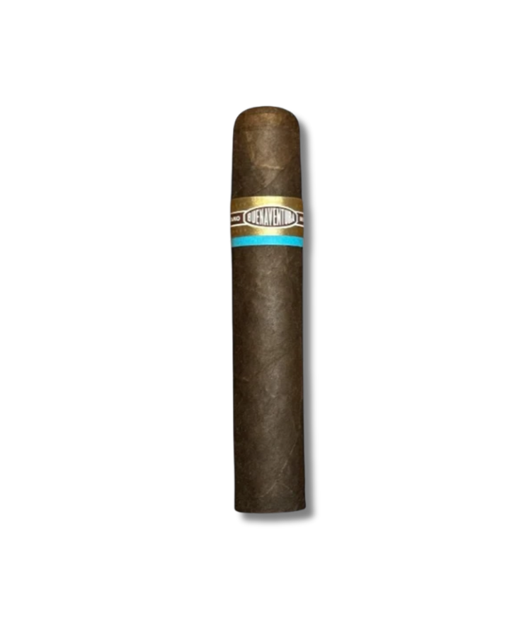 Curivari-BV-Favoritos-Maduro-60-20.png Curivari BV Favoritos Maduro - 60 (20) - Image 1