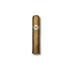 Curivari BV - Petit (20)