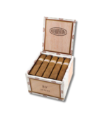 Curivari BV - Petit (20) - Image 2