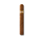 Curivari BV - Picadores 52 (10)