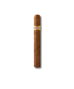 Curivari BV - Picadores 52 (10)