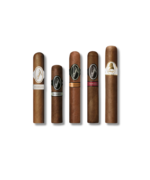 Davidoff Gift Selection Robusto (Box of 5) - Image 3