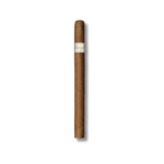 Davidoff Signature - Ambassadrice (25)