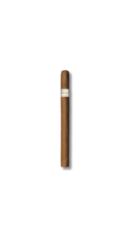 Davidoff Signature - Ambassadrice (25)