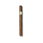 Davidoff Signature - Exquisitos (Box of 20)