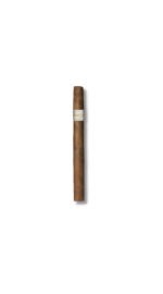 Davidoff Signature - Exquisitos (Box of 20)