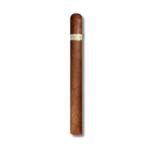 Illusione Epernay - Le Matin (25)