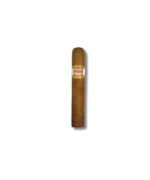 Illusione Rothchildes - Connecticut (50)