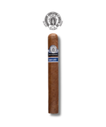 Illusione TAA 2021 Prive - Toro (10)
