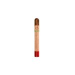 Arturo Fuente 858 Rosado Sun Grown LE - Corona Grande (20)